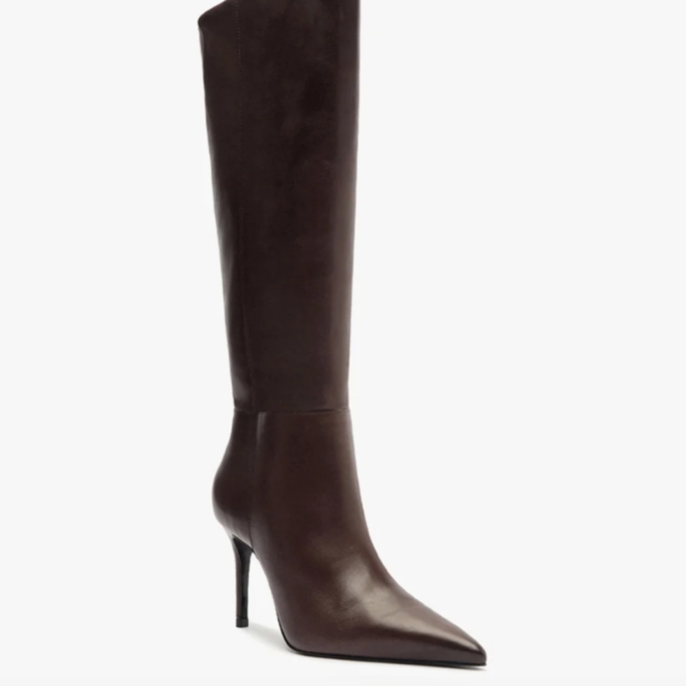 Women’s Tall Pointed-Toe Leather Boot - Dark Brown